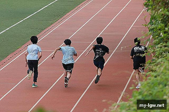 关于老哥网